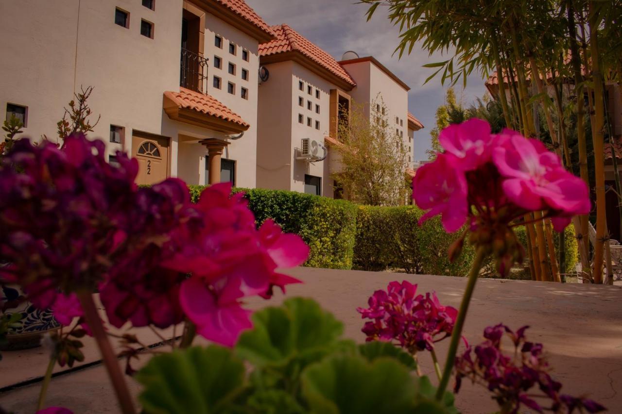 Suites Cervantes Чиуауа Экстерьер фото